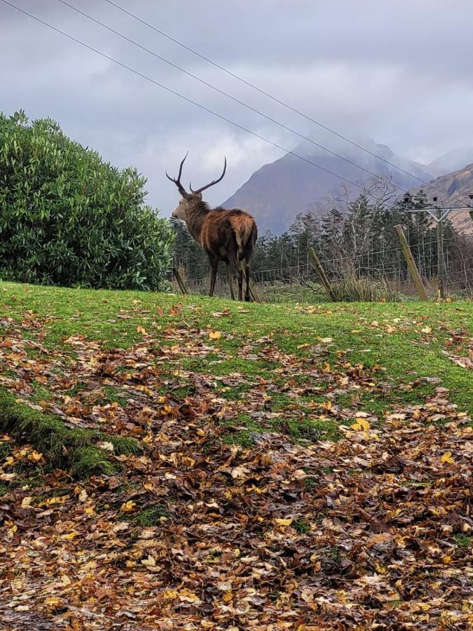 Ormasaig, Self Catering, One Mile To Town & Close To Ben Nevis Villa Fort William Buitenkant foto