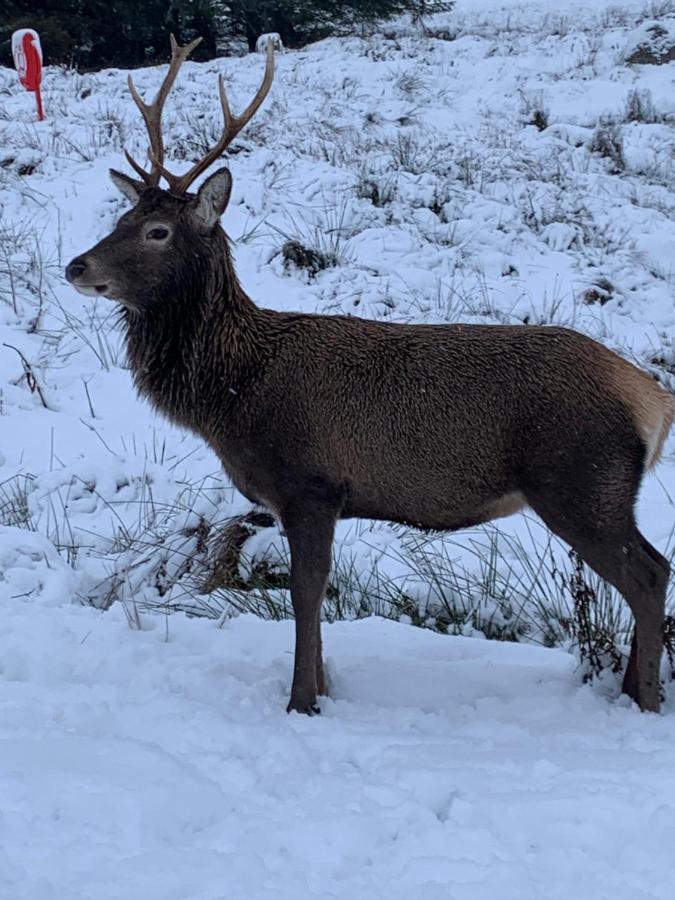 Ormasaig, Self Catering, One Mile To Town & Close To Ben Nevis Villa Fort William Buitenkant foto